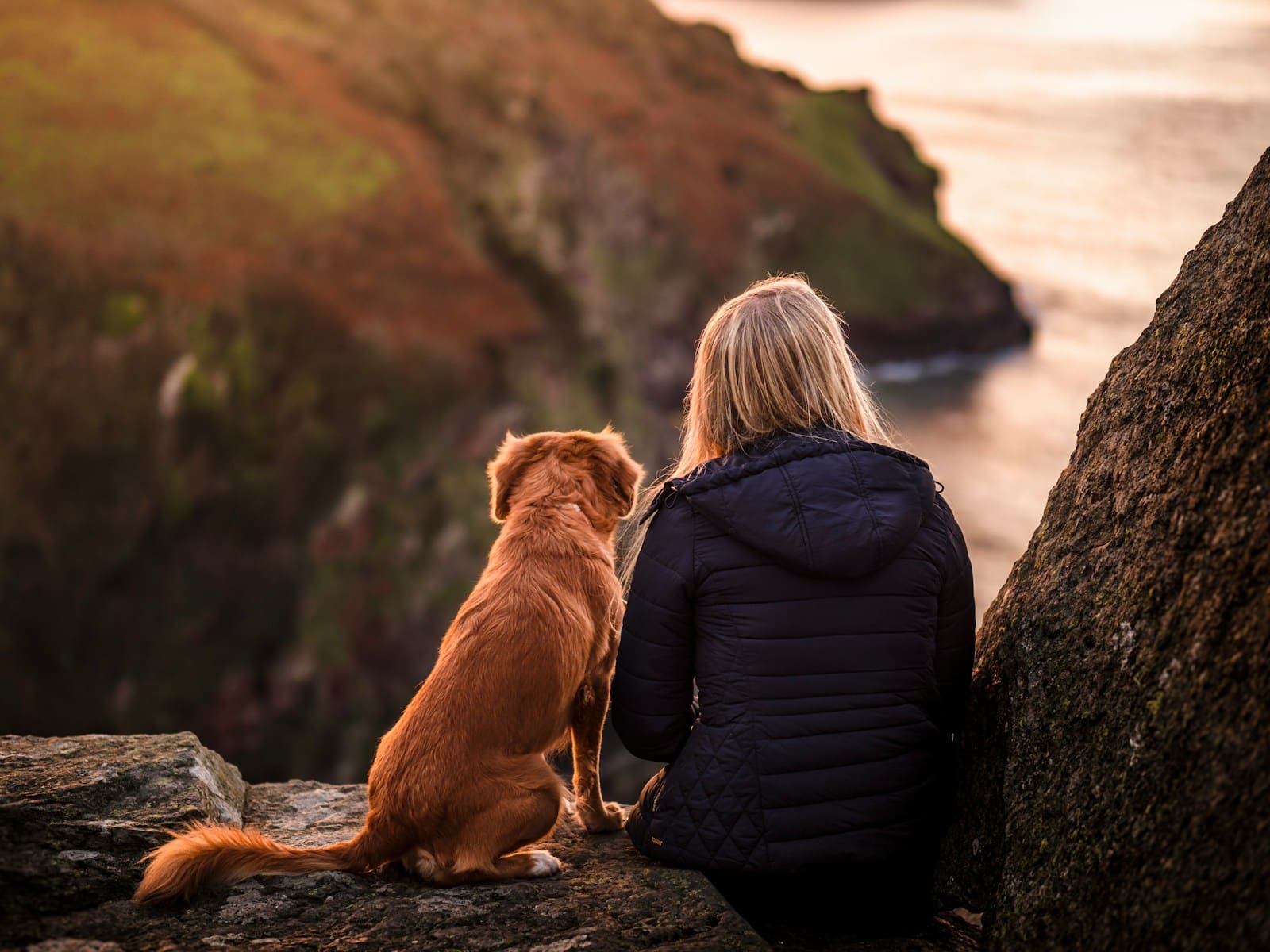 woman in black jacket sitting beside brown dog on rock near body of water during daytime Dog Walking in Temple Hills, MD in Winter: How Daily Walks Support Healthy Weight