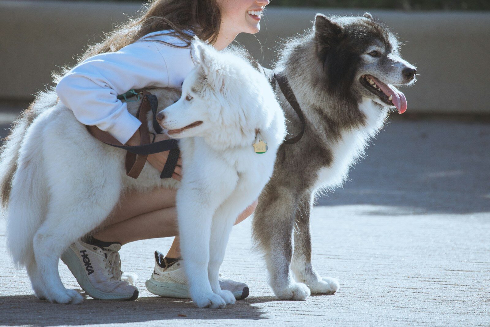 a woman kneeling down next to two dogs