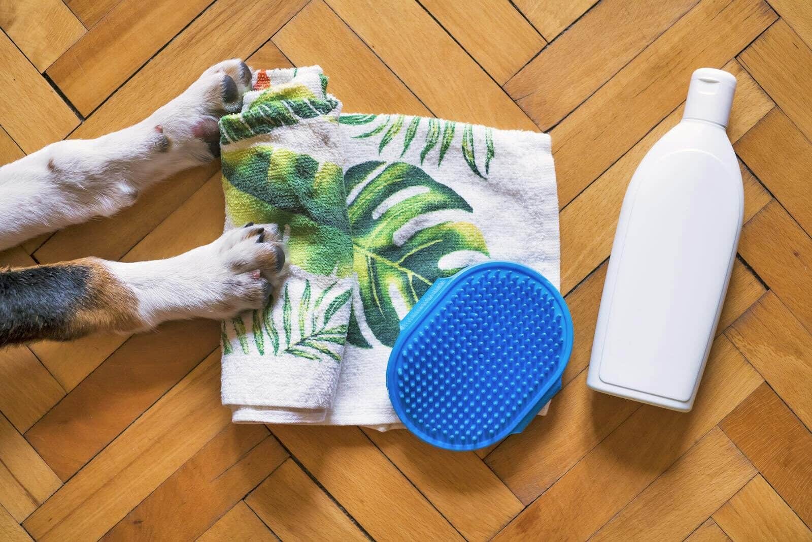 Flat lay of pet grooming essentials with dog paws, shampoo, towel, and brush on wooden floor.