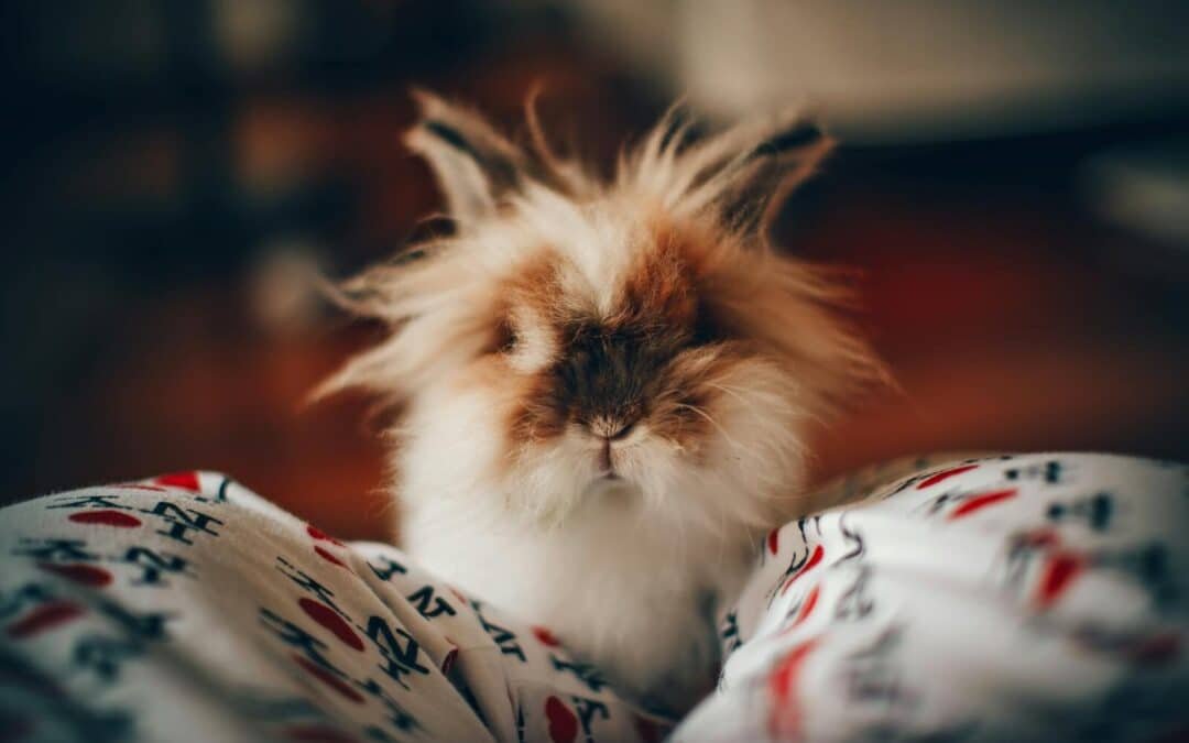 Do Hamster Bites Hurt? (& What To Do If Your Hamster Bites)