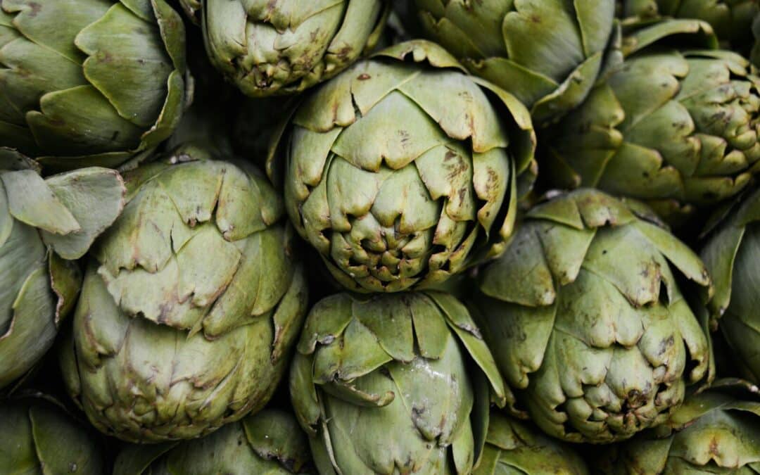 Can Dogs Have Artichokes?