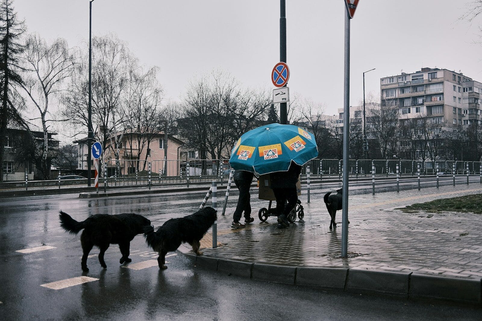 Photo by Lora Georgieva a group of people walking down a street with umbrellas