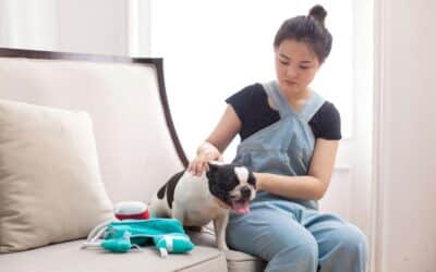 2023 Dog Sitting Rates