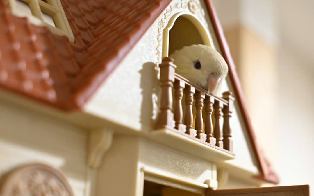 Feathers of the Family: Best Birds For Pets