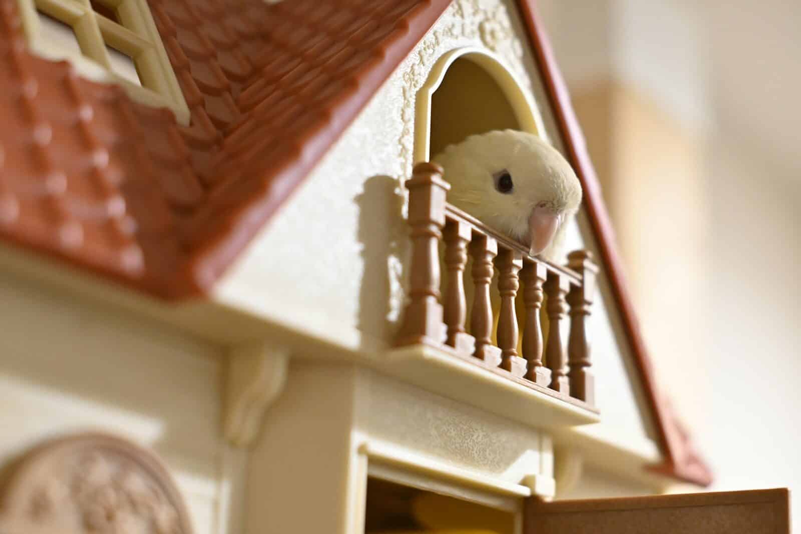 A toy house with a teddy bear in it