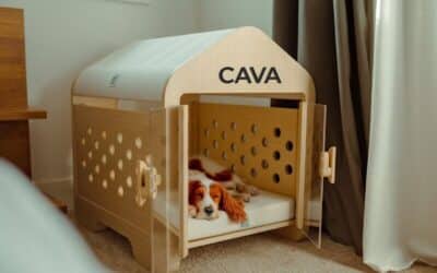 Creating Comfort for Your Pet Why Indoor is Better than An Outdoor Dog Kennel