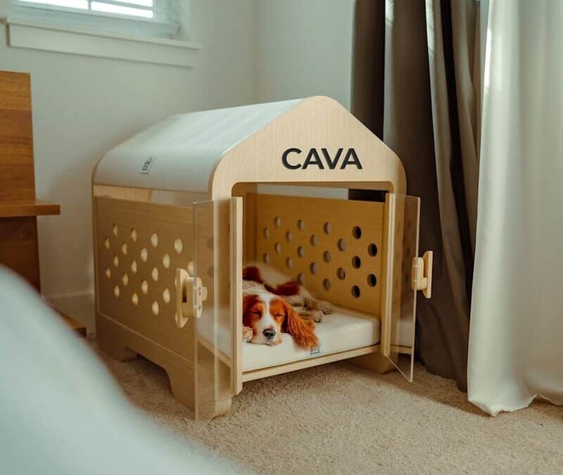 Creating Comfort for Your Pet Why Indoor is Better than An Outdoor Dog Kennel