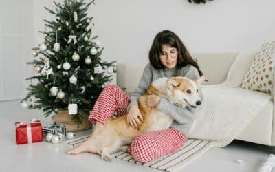 Holiday Pet Sitting in Alexandria and Arlington: Stress-Free Care for Your Pets While You Travel