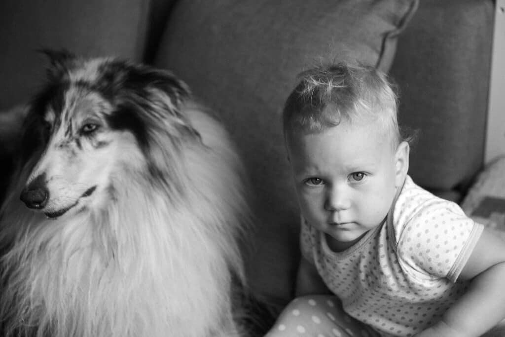 Charming black and white photo of a baby with a fluffy collie dog indoors.