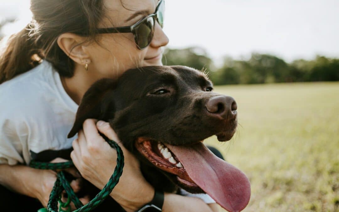 Why Is My Dog Panting So Much? What Every Pet Owner Should Know