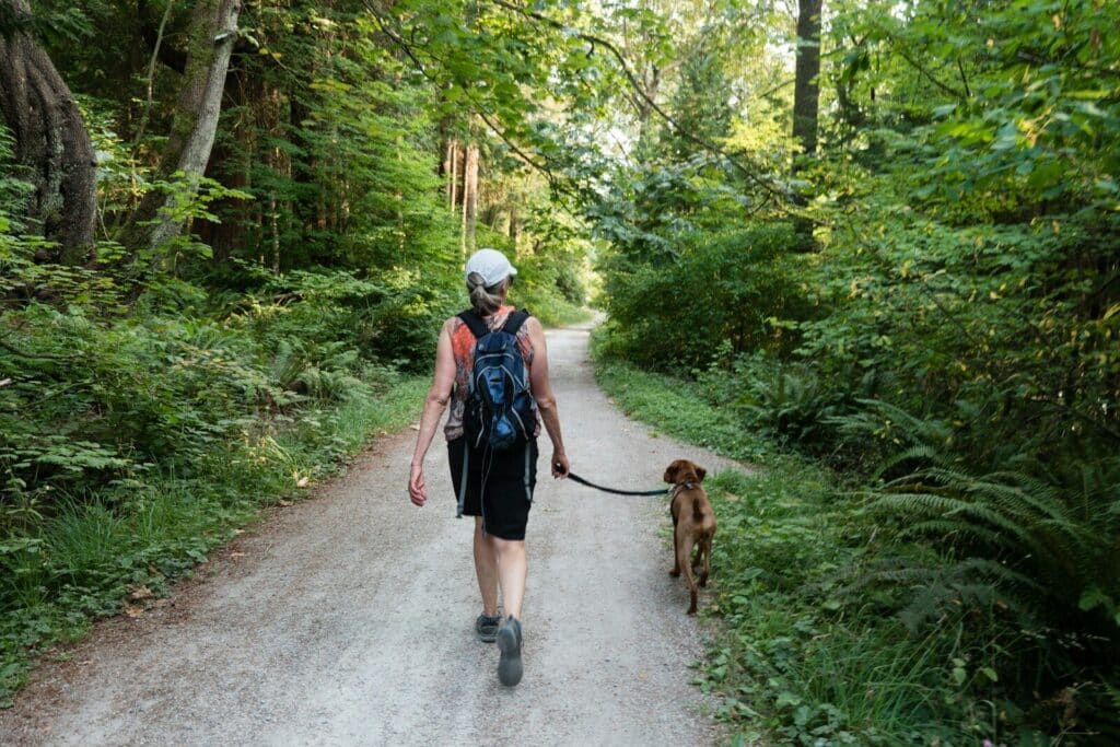 Finding the Perfect Dog Walker in Springfield VA for Your Furry Friend 1 2 women walking on road with brown dog during daytime