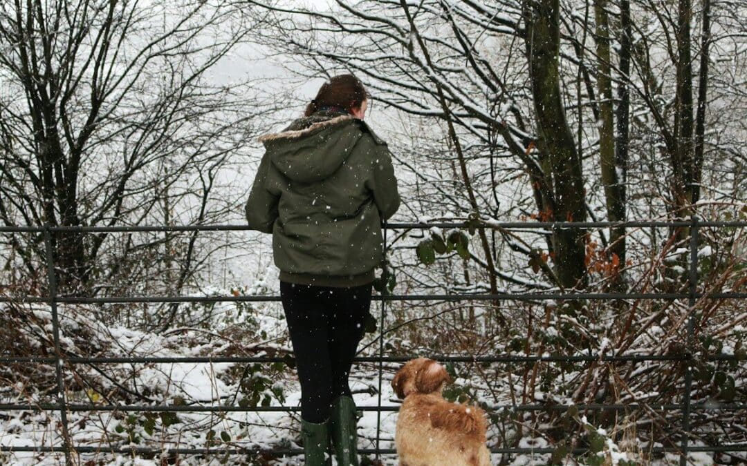 Winter Dog Walking in Arlington: How We Keep Your Pup Warm & Protected