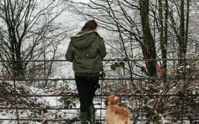Winter Dog Walking in Arlington: How We Keep Your Pup Warm & Protected