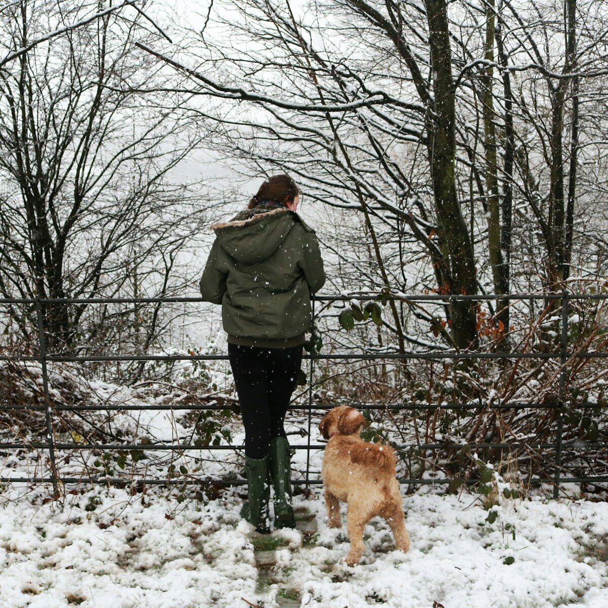 a woman walking her dog in the snow