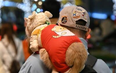 Pet Sitters in Arlington, Virginia for Dogs, Cats, and More