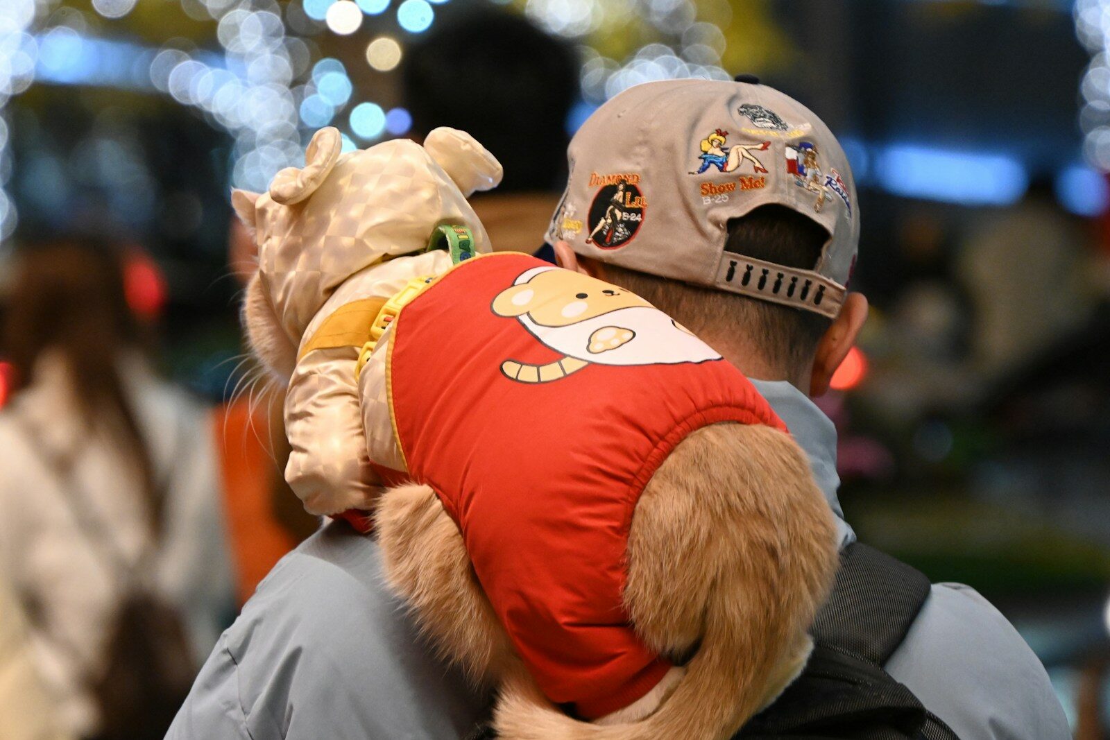 pet sitters in arlington virginia