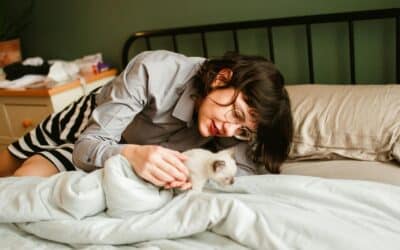 Cat Sitters in Clinton, Maryland Who Respect Your Cat’s Routine