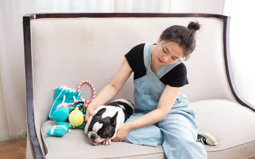 Pet Sitter in Waldorf, Maryland: A Guide to Finding Trusted Pet Care