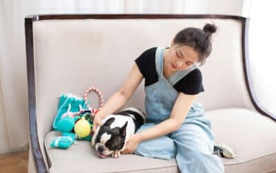 Pet Sitter in Waldorf, Maryland: A Guide to Finding Trusted Pet Care