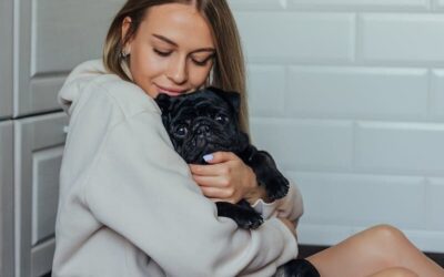 Professional Pet Sitters in Brandywine You Can Count On