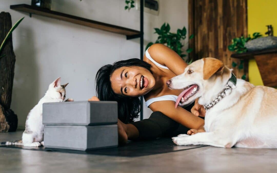 pet sitters in groveton virginia