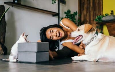 Why Families Choose Pet Sitters in Groveton, Virginia