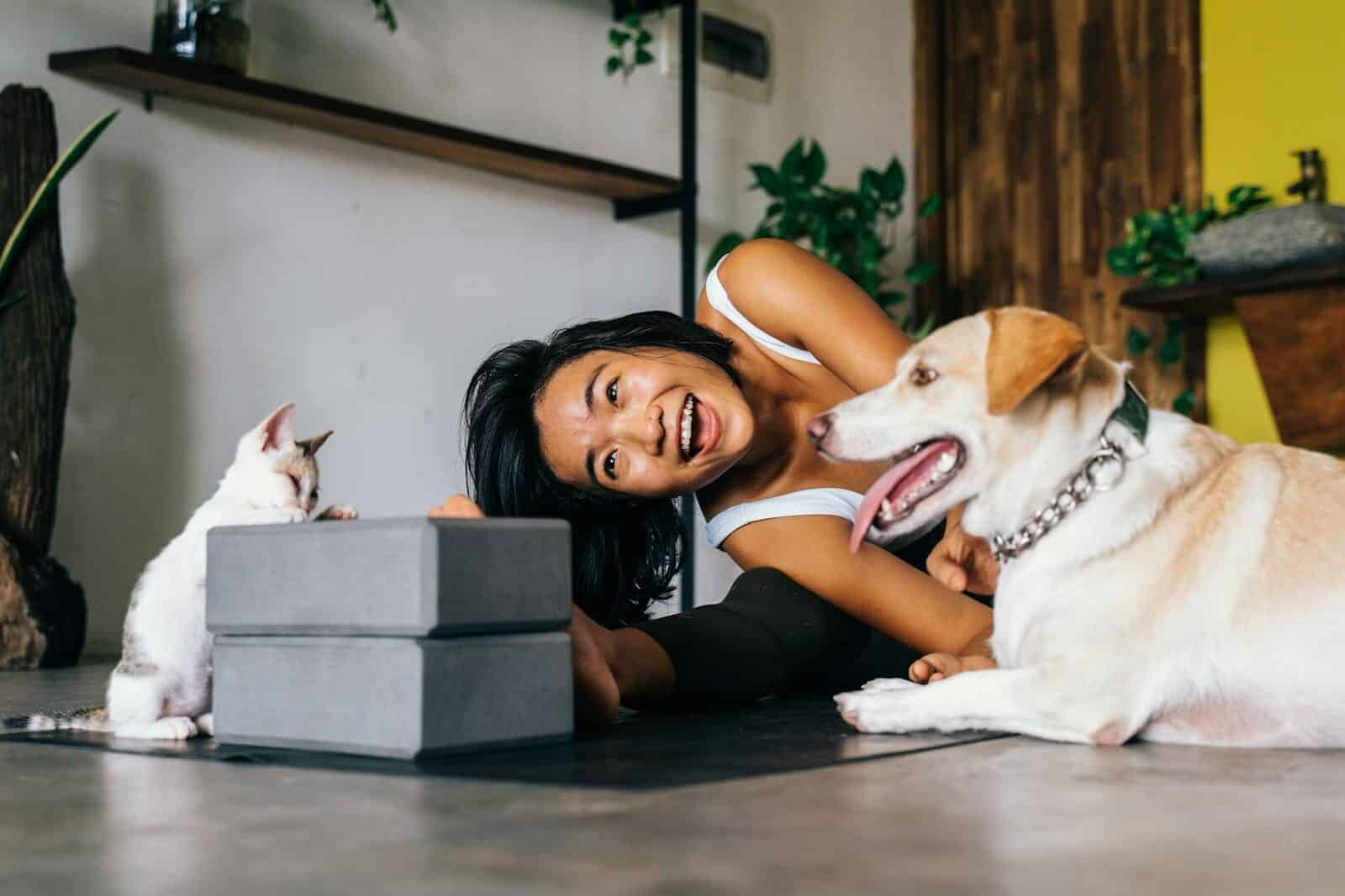 pet sitters in groveton virginia