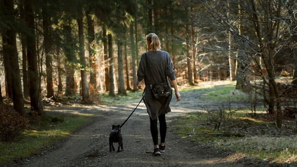 Dog Walking Service in Waldorf, Maryland: 12 Questions to Ask 3 woman in black jacket walking with black labrador retriever on pathway during daytime