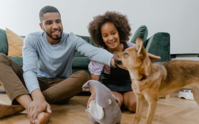 Dog Walker, Pet Sitter, Pet Taxi | Alexandria, Arlington, VA & Surrounding Areas 3 25 Essential Pet Care Tips for Alexandria, Virginia Pet Parents
