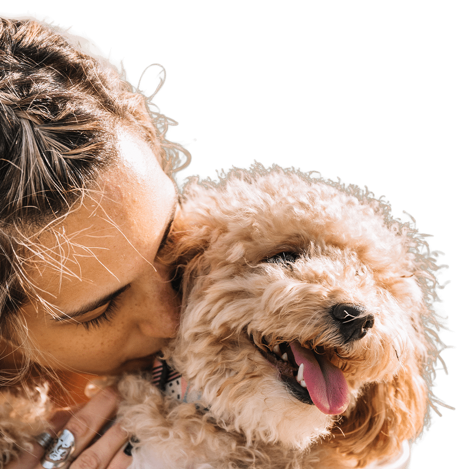 A person cuddling a happy curly-haired dog