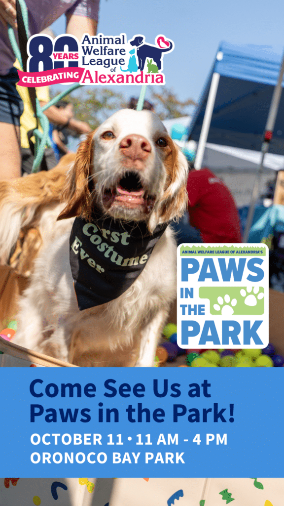 come see us at paws in the park