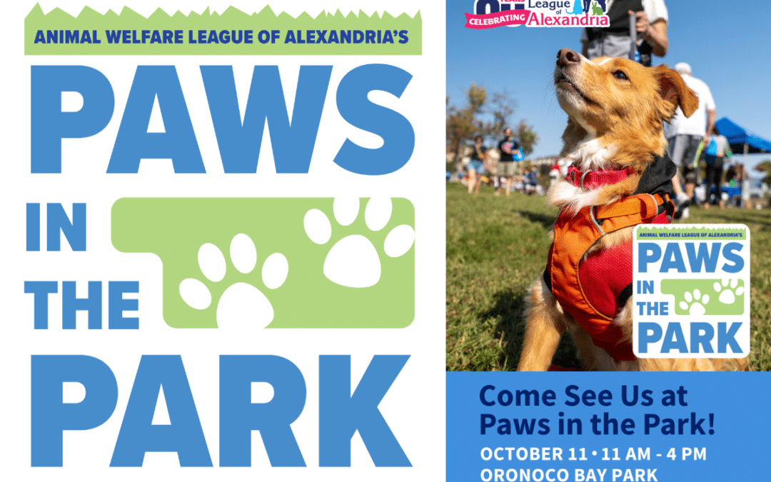 Paws in the Park 2026 | Come Visit Kate’s K9 Pet Care 🐾