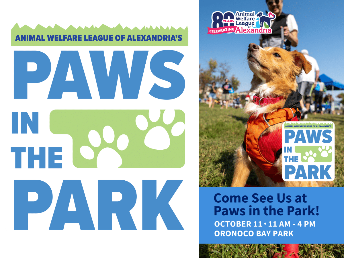 Come Visit Kate’s K9 Pet Care at Paws in the Park! 🐾