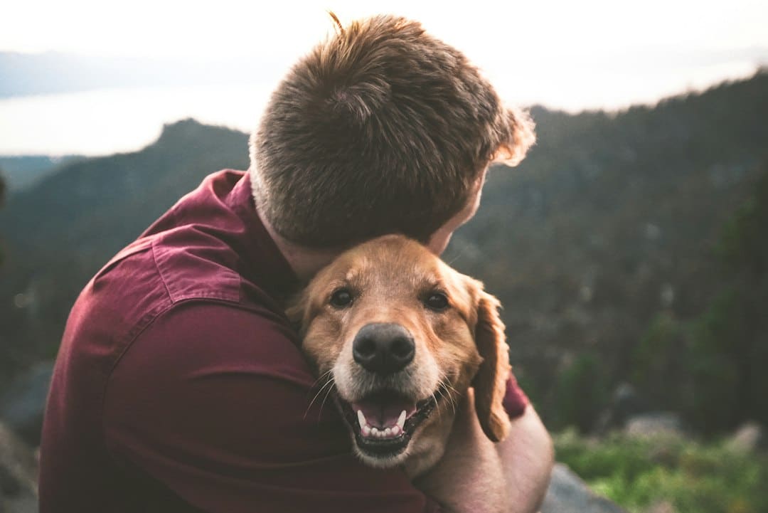 Finding a Dog Sitter You Can Trust