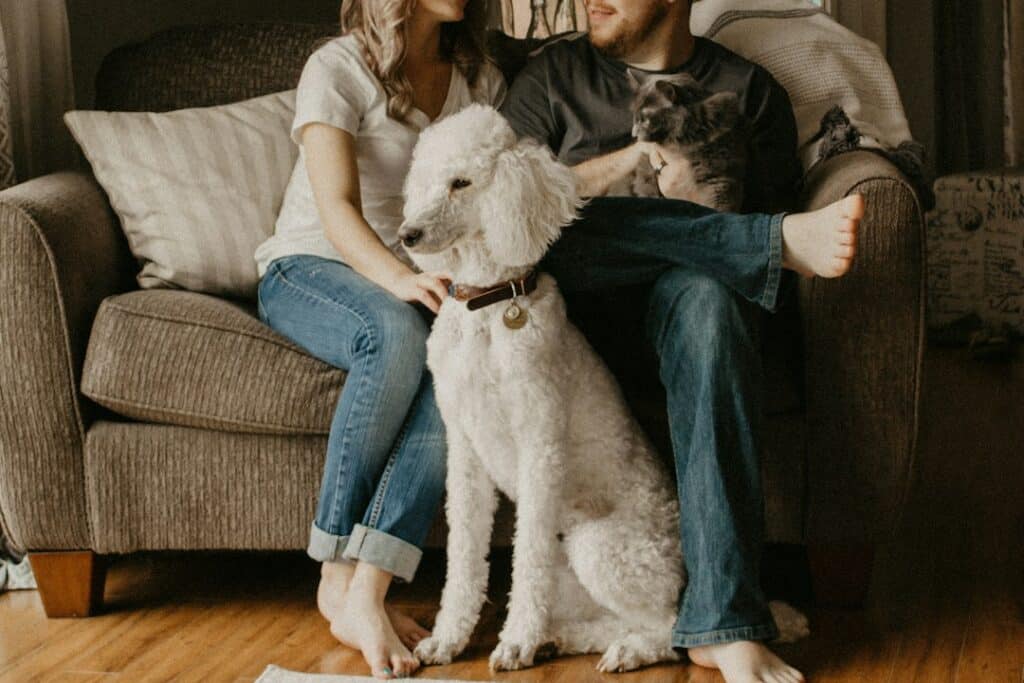 House Sitting and In-Home Pet Sitting