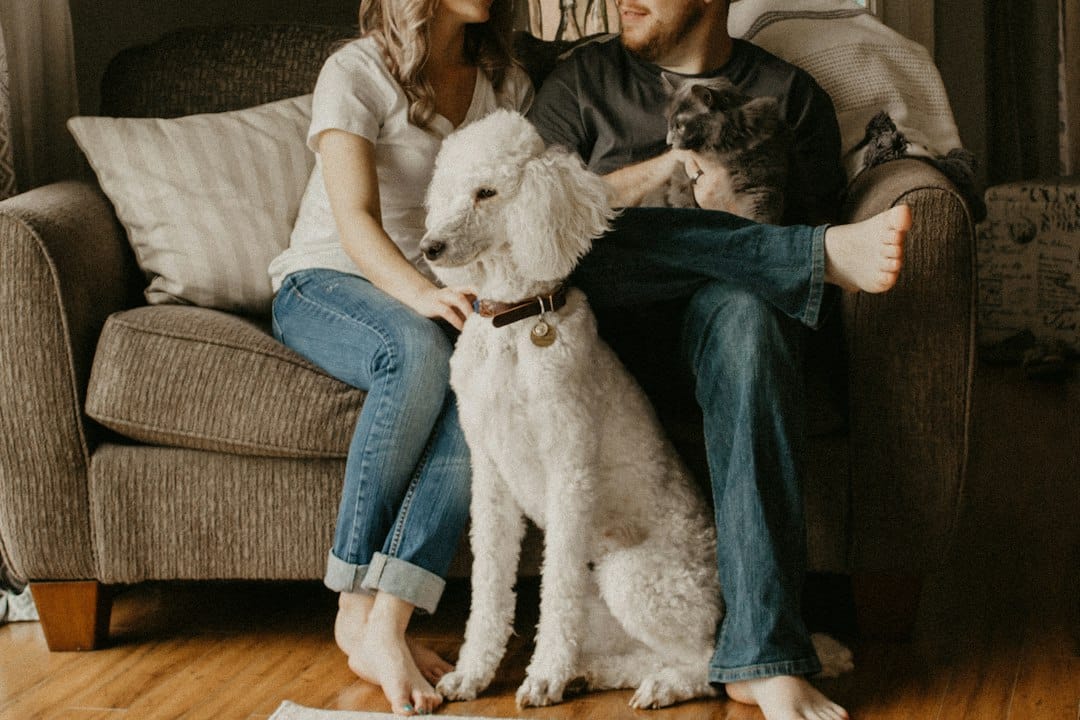 Pet Sitting in Fort Washington, Maryland: How Kate’s K9 Makes Travel Less Stressful 3 House Sitting and In-Home Pet Sitting