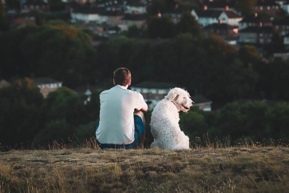 How to Find Pet Sitters in Your Area