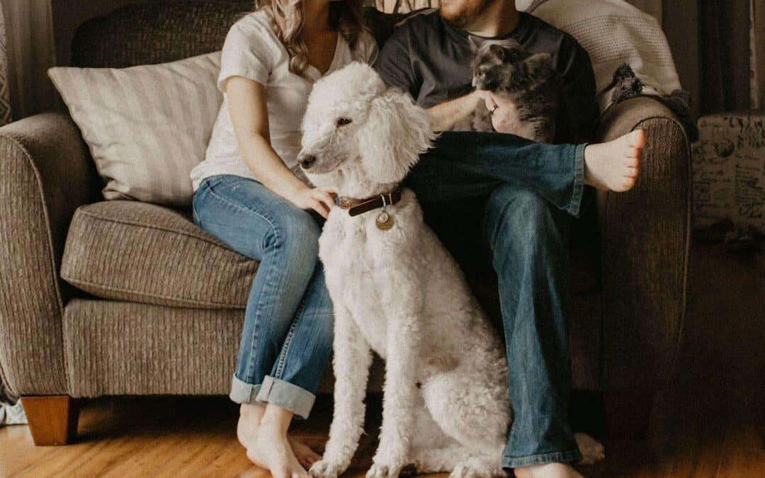 Pet Sitter in Clinton, Maryland: 15 Things to Look for Before Hiring Someone to Care for Your Pets