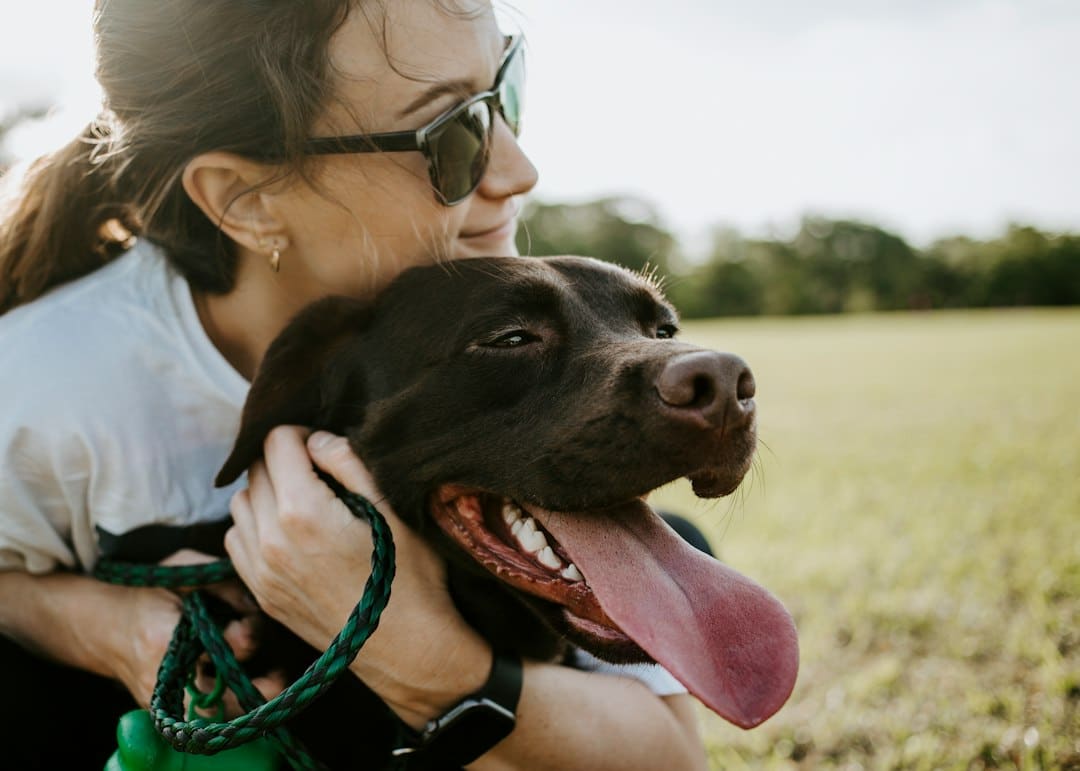 What Makes Kate’s K9 a Reliable Dog Walking Service in Lorton, Virginia? 2 Personalized Care for Every Dog