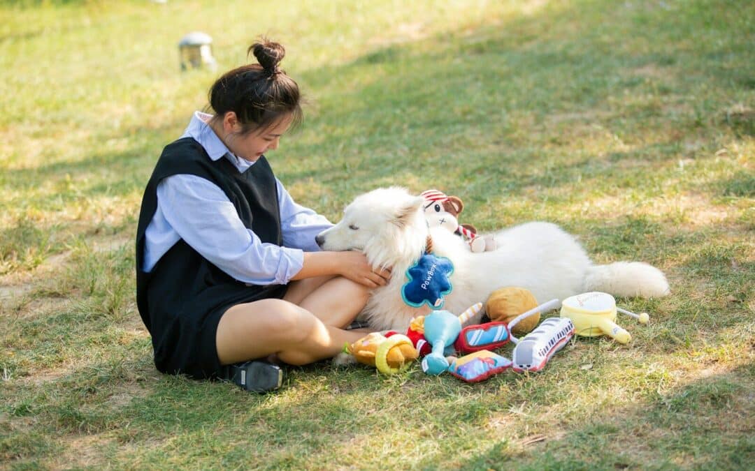 Dog Sitting vs. Boarding: Which Is Better for Your Dog in National Harbor, Maryland?