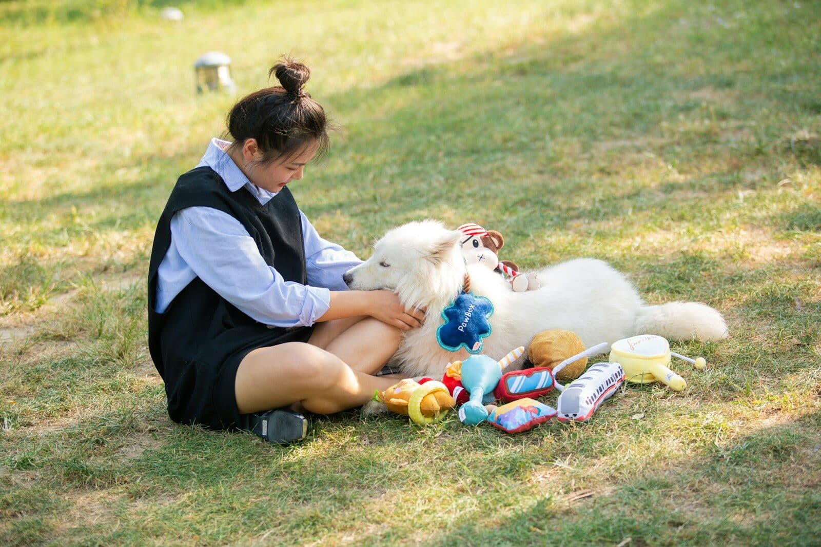 dog sitting