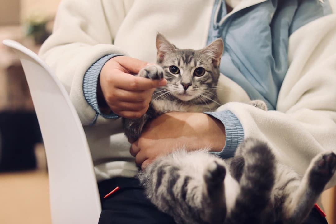 25 Essential Pet Care Tips for Alexandria, Virginia Pet Parents 2 Schedule Regular Veterinary Visits