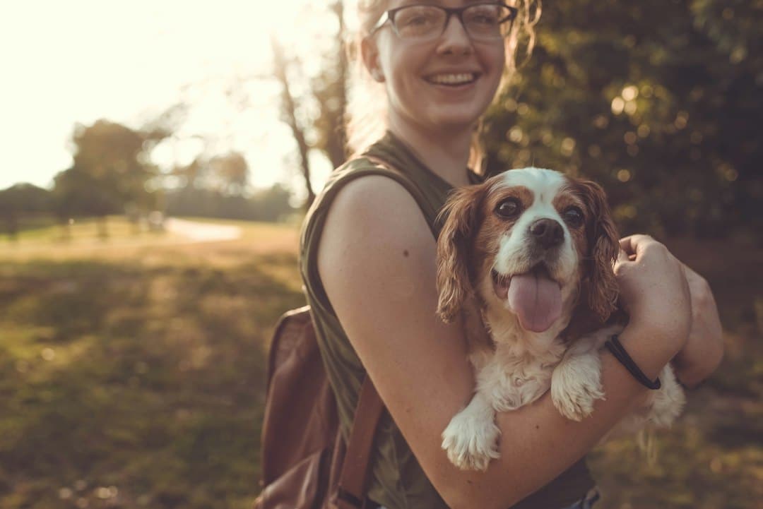 Pet Sitting in Fort Washington, Maryland: How Kate’s K9 Makes Travel Less Stressful 1 Why Professional Pet Sitting Makes Travel Easier